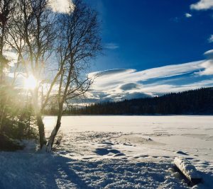 Vinteridyll. Snø på islagt vann.