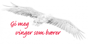 Logo Gi meg vinger som bærer.