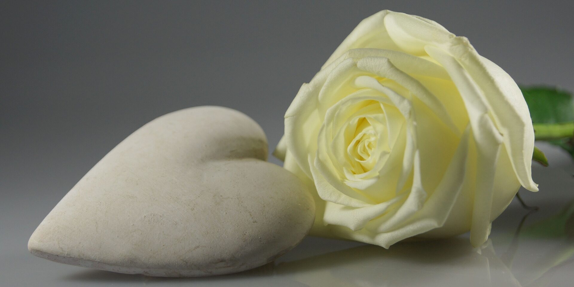 Hvitt hjerte i stein foran en hvit rose.